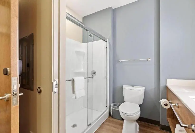 Deluxe-studio, Extended Stay America Premier Suites  Tampa  Gibsonton  Riverview