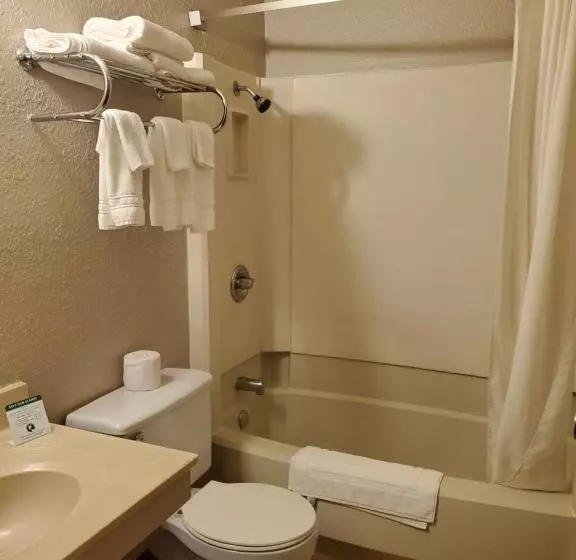 スタンダードルーム, Bison Plains Lodge