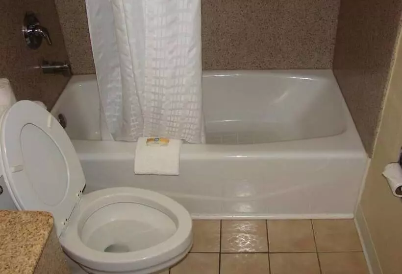اتاق استاندارد با 2 تخت دوبل, City Center Inn