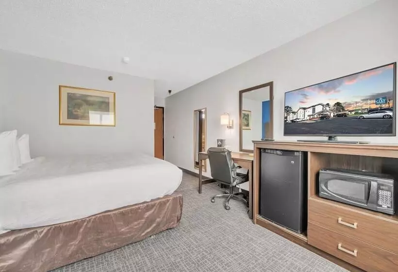 اتاق استاندارد با 2 تخت دوبل, City Center Inn