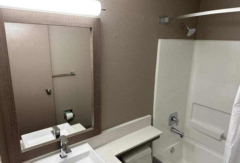 디럭스 룸, Red Roof Plus Belleville