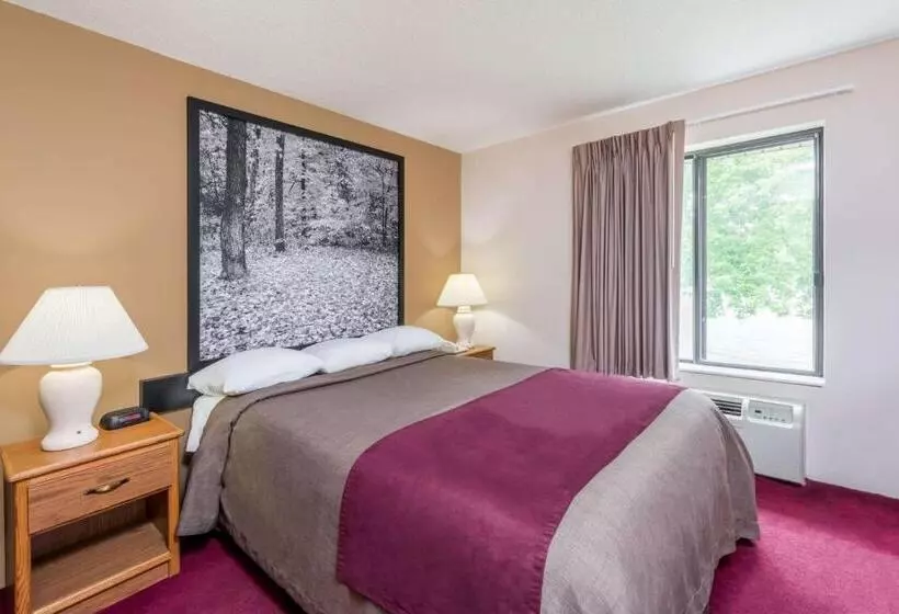 اتاق استاندارد برای معلولان, Super 8 By Wyndham Columbia Clark Lane