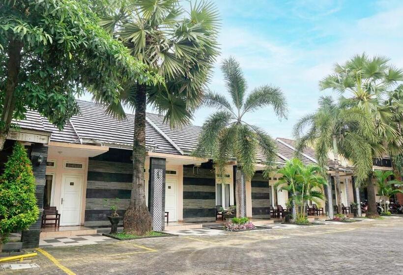 Standardrum med Terrass, Musdalifah