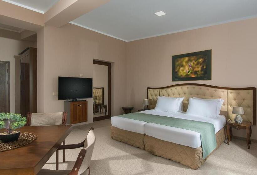 Номер Deluxe, Villa Magus
