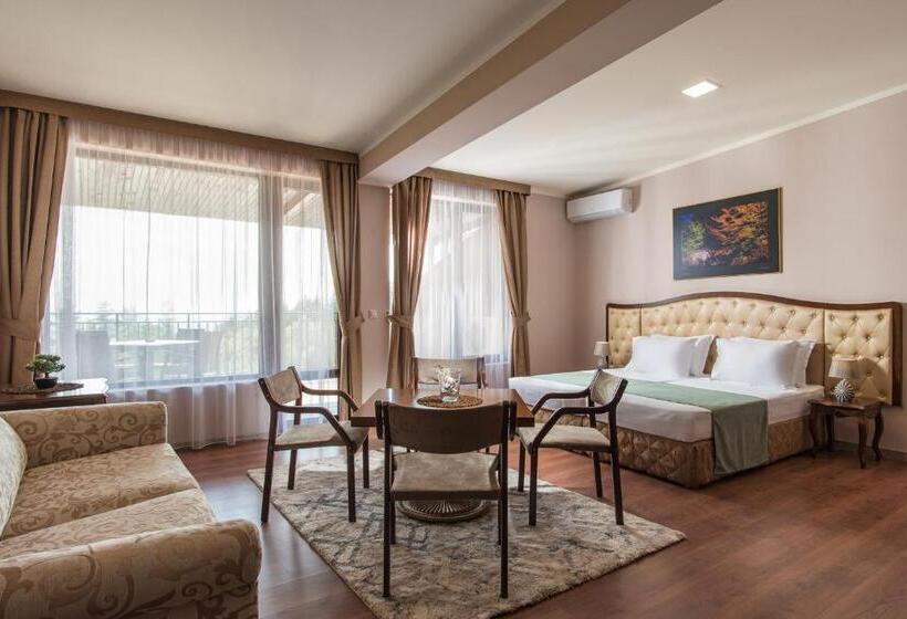 חדר סופריור, Villa Magus