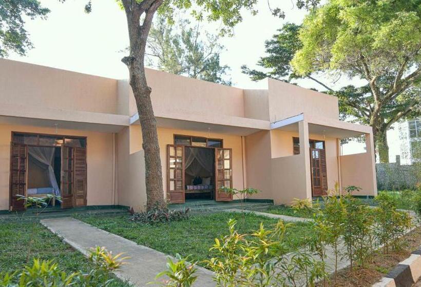 اتاق لوکس, Cycad Entebbe Guest House
