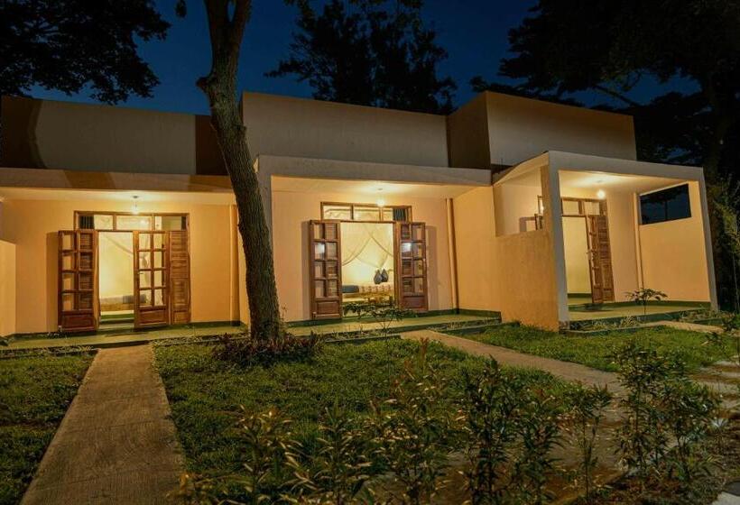 اتاق لوکس, Cycad Entebbe Guest House