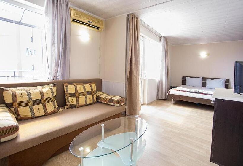 带大床的标准工作室, Sineva Guest House