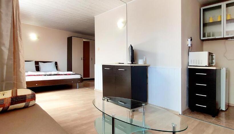 Студио Стандарт Кровать Кинг, Sineva Guest House