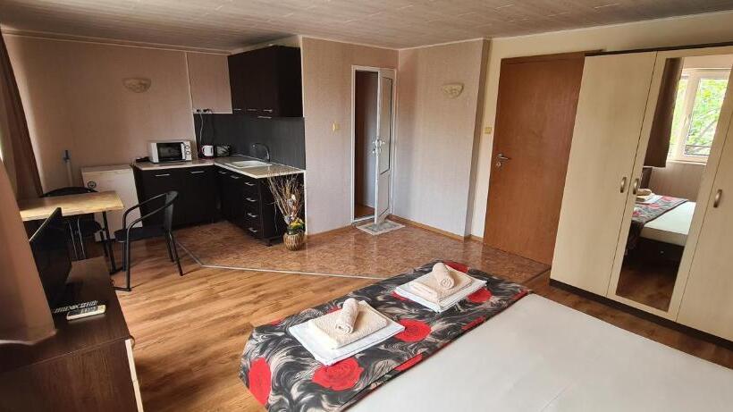 Студия Deluxe, Sineva Guest House
