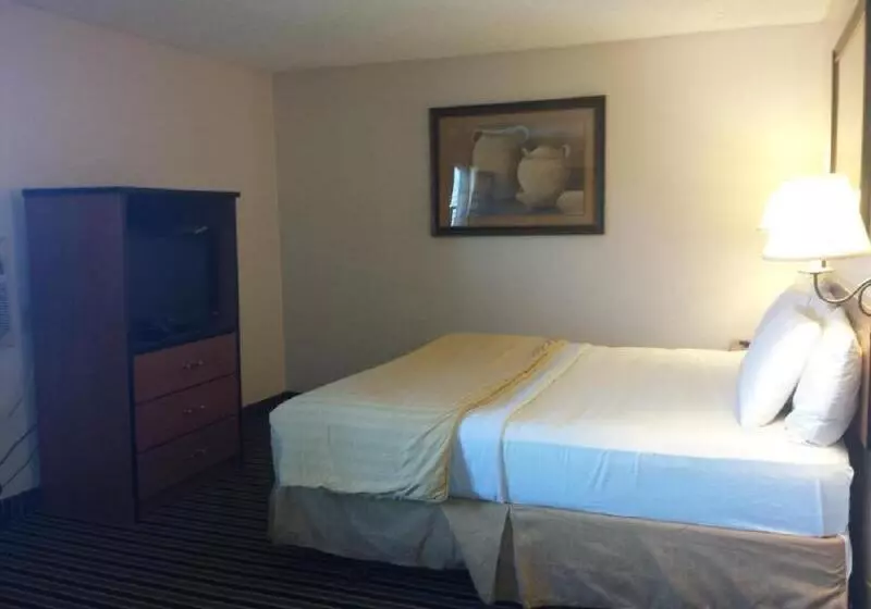 キングサイズベッドのスタンダードルーム, Rodeway Inn
