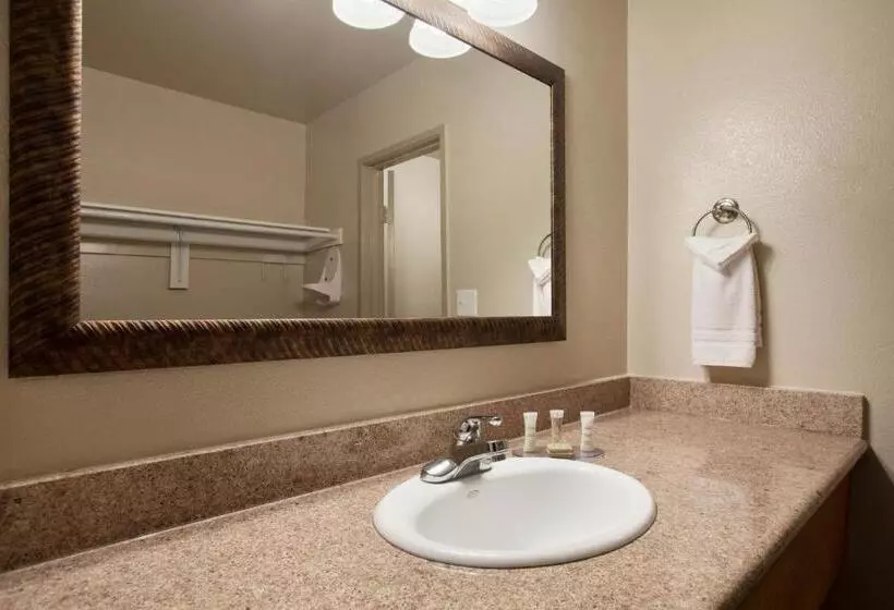 اتاق استاندارد با تخت بزرگ, Super 8 By Wyndham Vallejo/napa Valley
