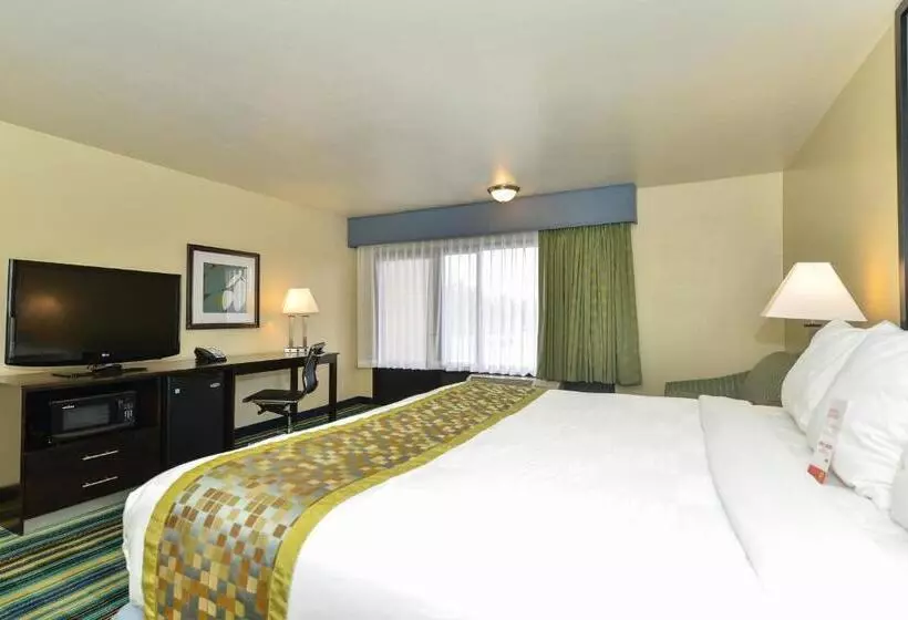 اتاق استاندارد با تخت بزرگ, Super 8 By Wyndham Vallejo/napa Valley