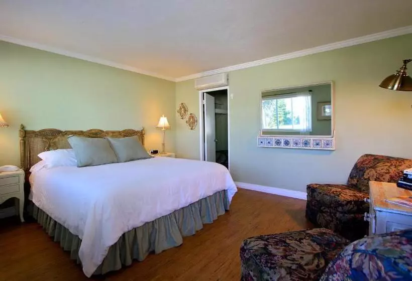 اتاق استاندارد با تخت بزرگ, The Tides Laguna Beach