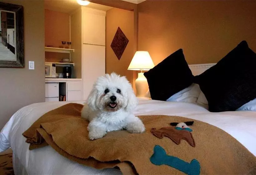 اتاق استاندارد با تخت بزرگ, The Tides Laguna Beach