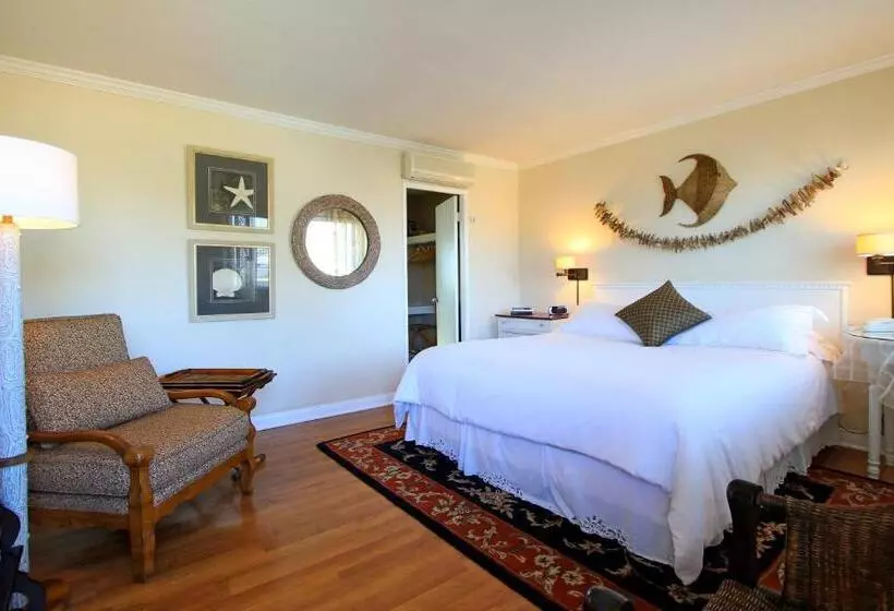 اتاق استاندارد با تخت بزرگ, The Tides Laguna Beach