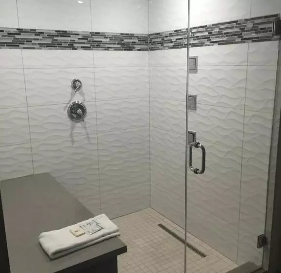 シングルデラックスルーム, Touristlodge