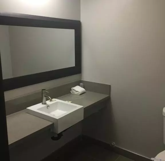 シングルデラックスルーム, Touristlodge
