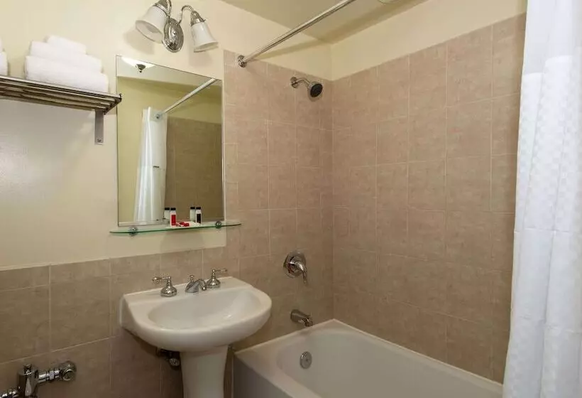 ダブルベッドスタンダードルーム, Travelodge By Wyndham Downtown Chicago