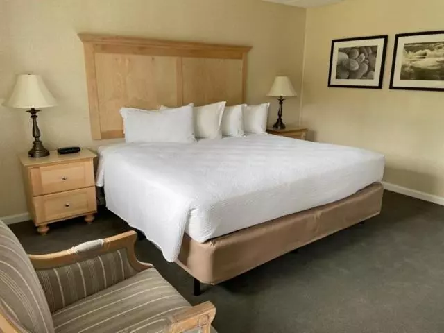 اتاق استاندارد با تخت بزرگ, Moseley Cottage Inn And The Town Motel
