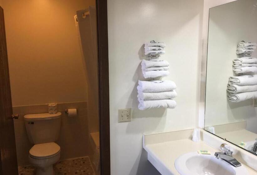 スタンダードルーム, Thunderbird Motor Inn