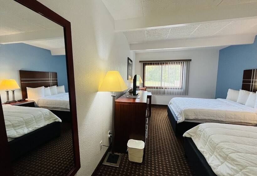 غرفه قياسيه سريرين مزدوجين, Tesla Medbed Center, East Dubuque