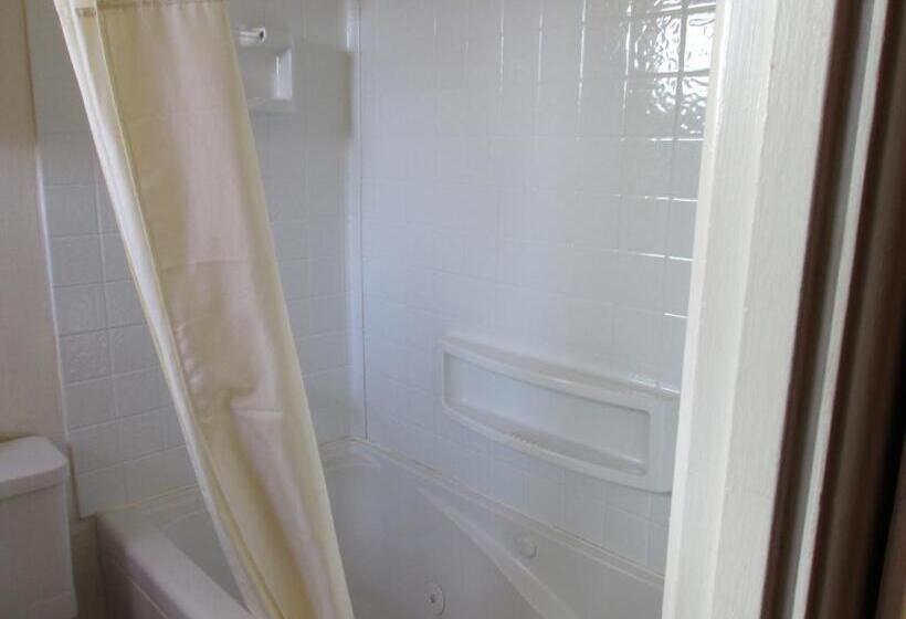 带大床的标准间, Townhouse Motel