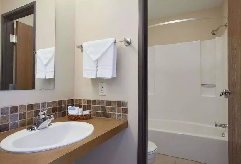 スタンダードルーム, Travelodge By Wyndham Motel Of St Cloud