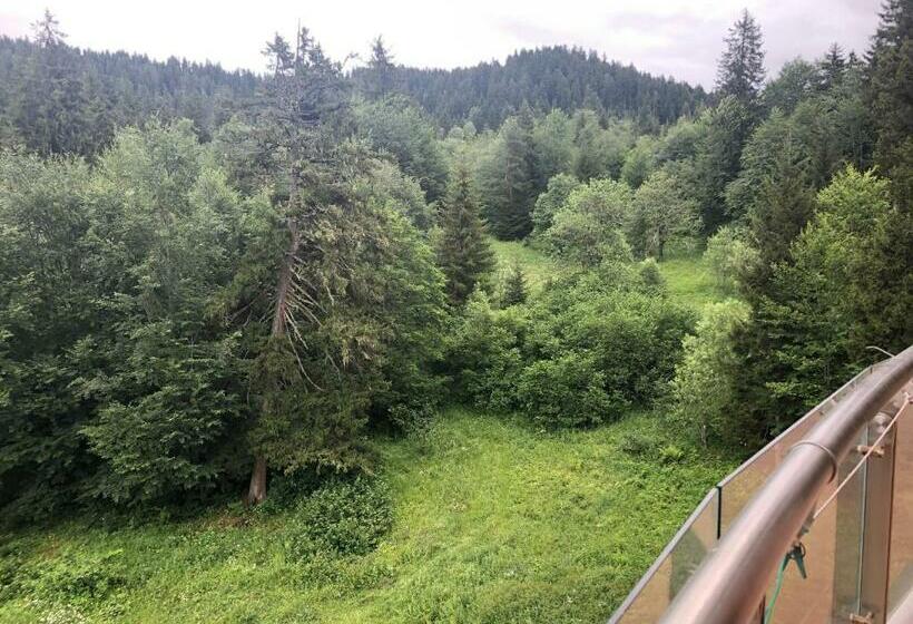آپارتمان سوپریور 1 خوابه, Bakuriani House In Forest
