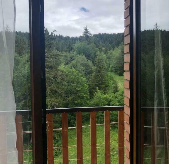 آپارتمان سوپریور 1 خوابه, Bakuriani House In Forest