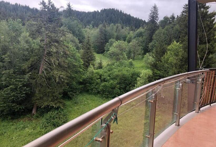 آپارتمان سوپریور 1 خوابه, Bakuriani House In Forest