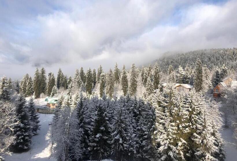 آپارتمان سوپریور 1 خوابه, Bakuriani House In Forest