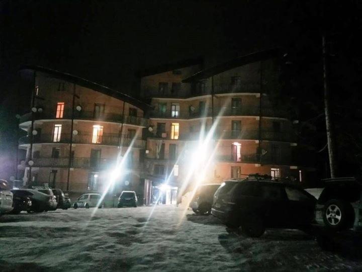 آپارتمان سوپریور 1 خوابه, Bakuriani House In Forest