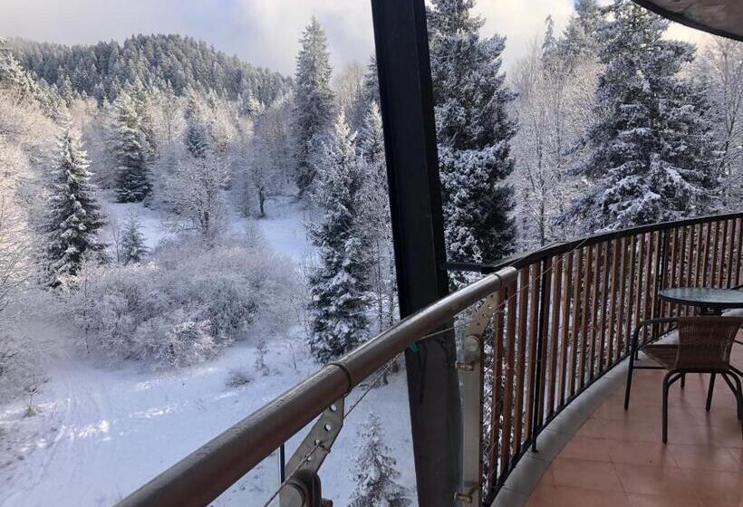 آپارتمان سوپریور 1 خوابه, Bakuriani House In Forest