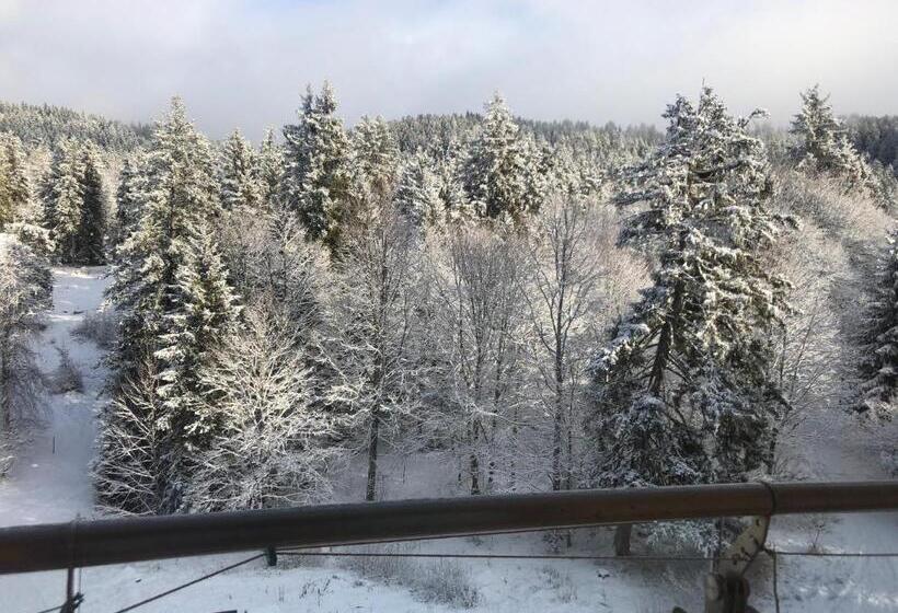 آپارتمان سوپریور 1 خوابه, Bakuriani House In Forest