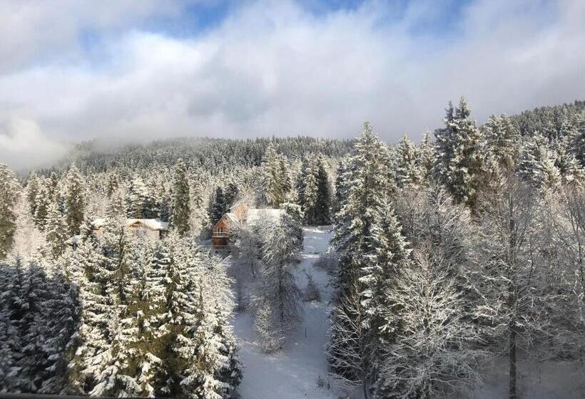 آپارتمان سوپریور 1 خوابه, Bakuriani House In Forest