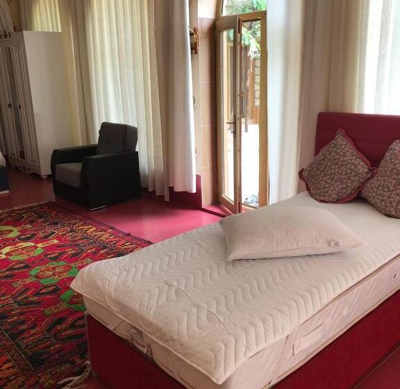 آپارتمان 1 خوابه با چشمانداز باغ, Sheki Apartments