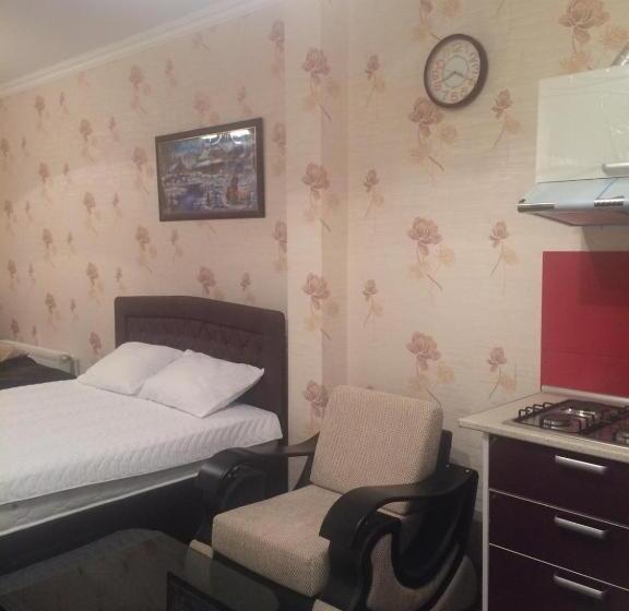 آپارتمان 1 خوابه با چشمانداز استخر, Sheki Apartments