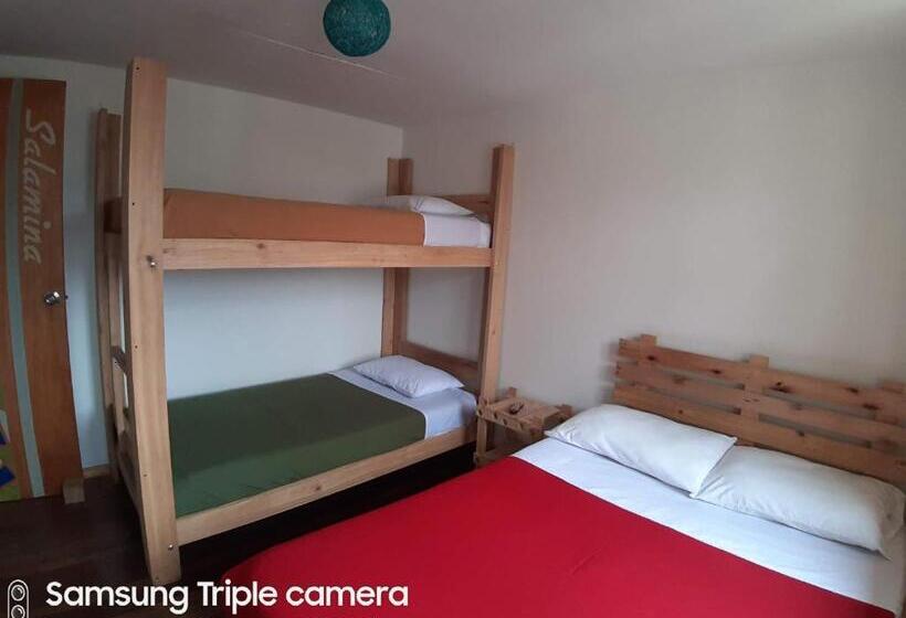 Номер Стандарт Четырехместный Совместный Санузел, Hostal Triangulo Del Cafe