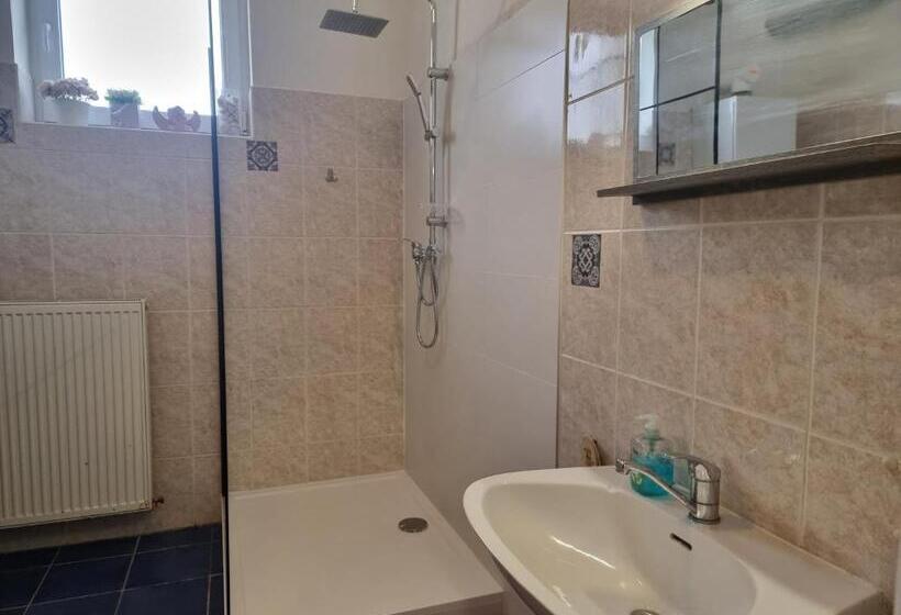 חדר סטנדרט חדר אמבטיה משותף, Penzion A Víno