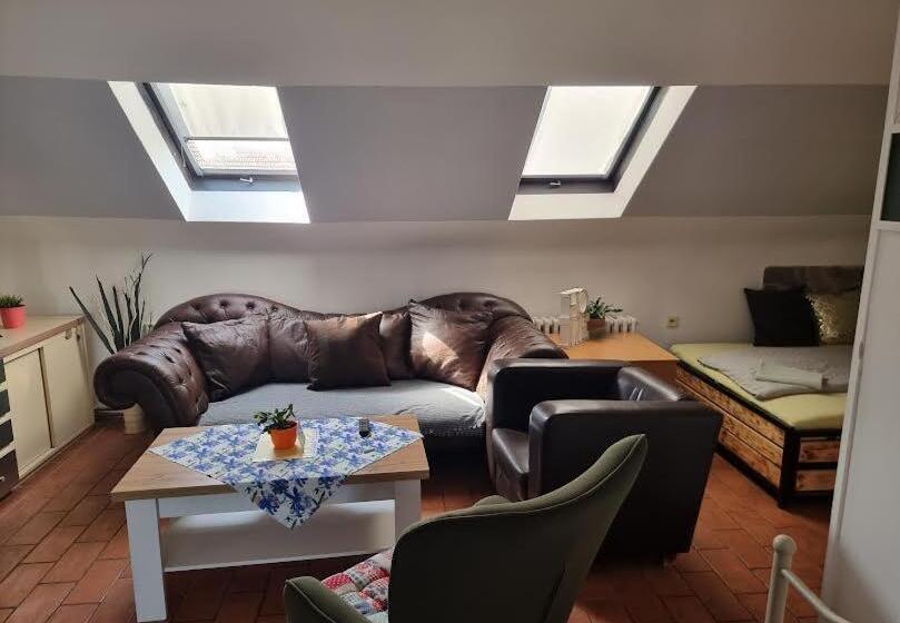 סוויטת 2 חדרי שינה, Penzion A Víno