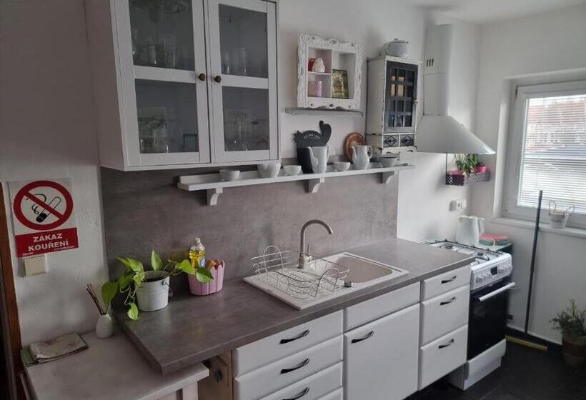 סוויטת 2 חדרי שינה, Penzion A Víno