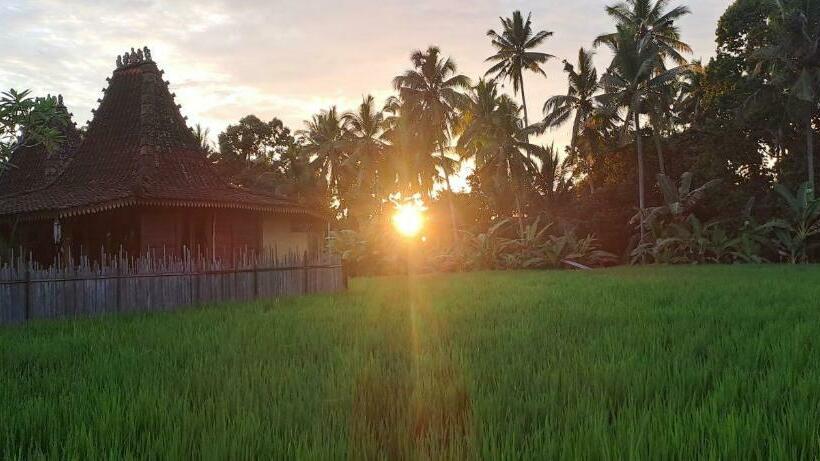 バルコニー付スイート, Galang Hari Villa