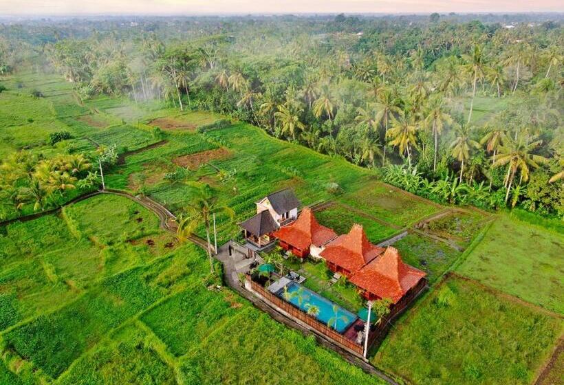 バルコニー付スイート, Galang Hari Villa