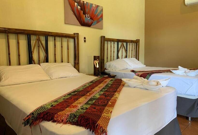 اتاق پریمیوم چهارنفره, Zafra