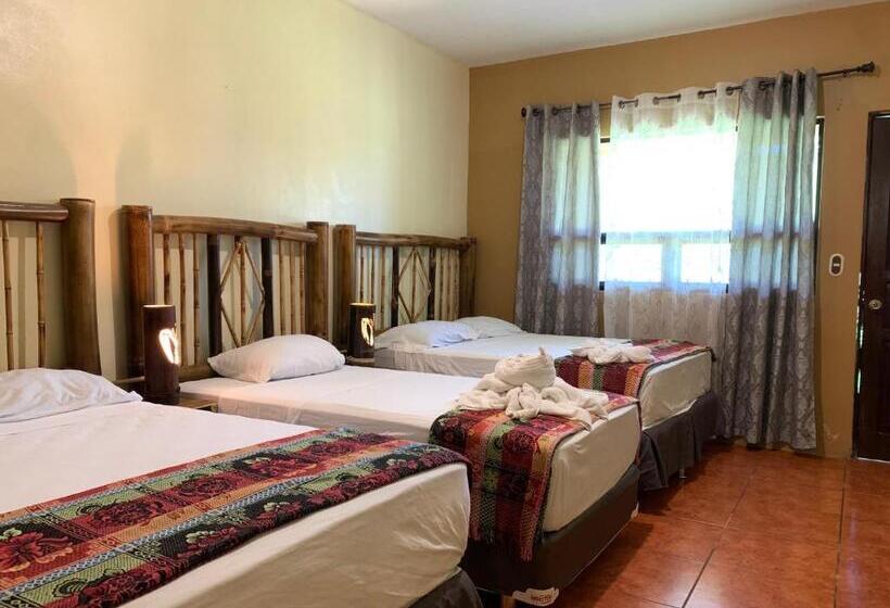 اتاق خانوادگی, Zafra