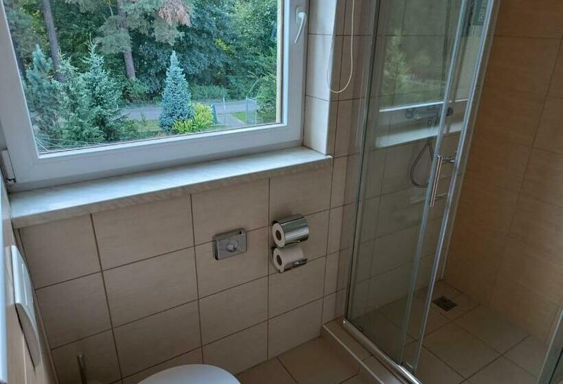 スタンダードルーム, Restaurace A Penzion U Lesa