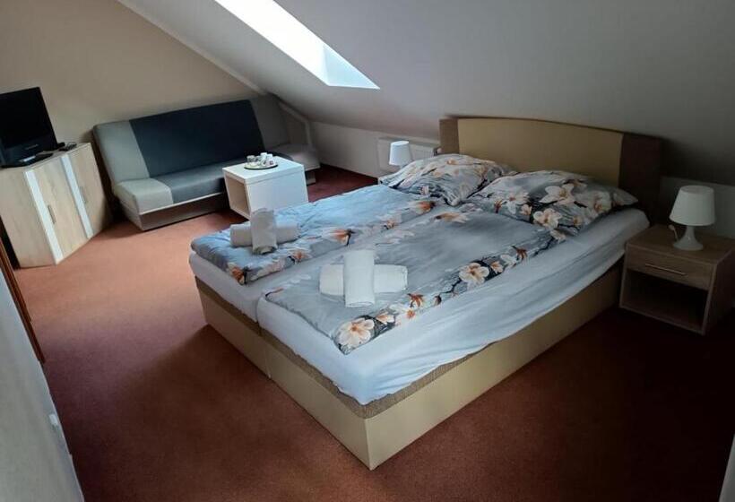 スタンダードルーム, Restaurace A Penzion U Lesa