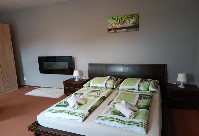 スタンダードルーム, Restaurace A Penzion U Lesa