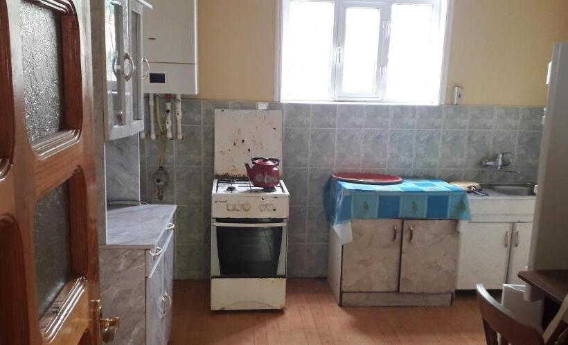 ویلای 1 خوابه, Rey